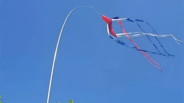 Windsock Pole Streamer, Spinner, WSP Tube