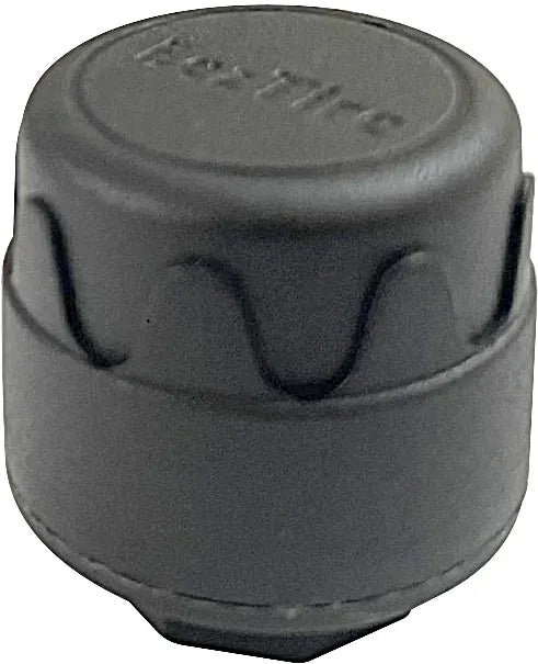 TPMS E618 Anti-Theft Sensors